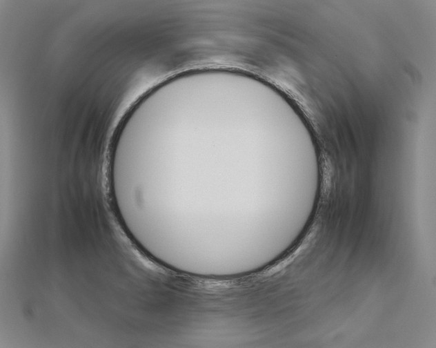 X0000113031278200908271047