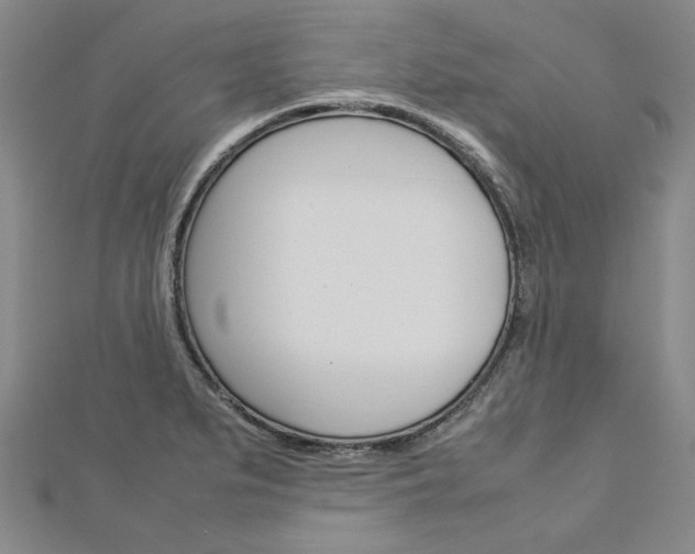 X0000113031279200908271047
