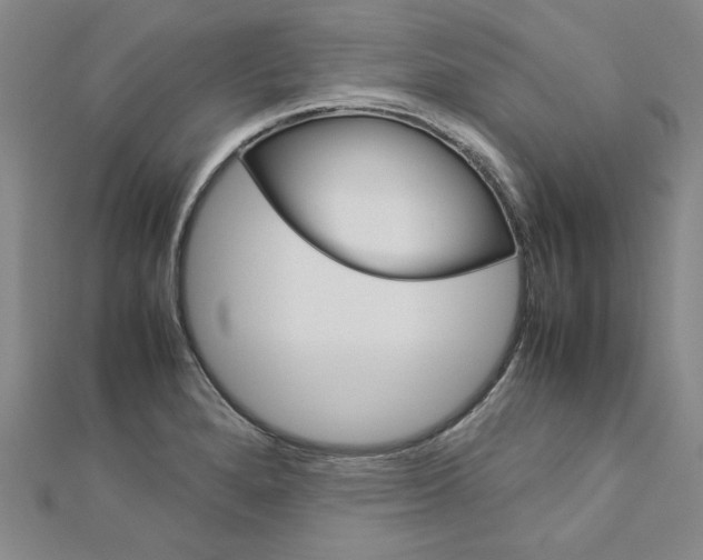 X0000113031280200908271047