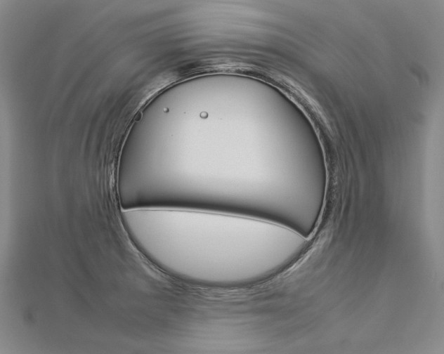 X0000113031281200908271047