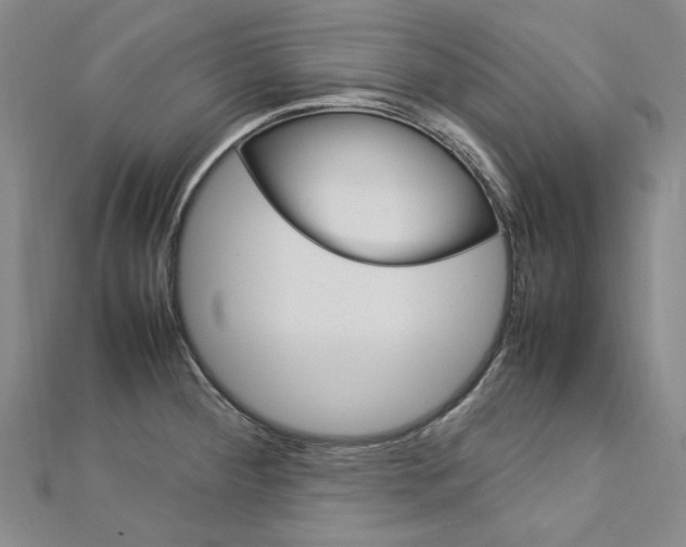 X0000113031284200908271047
