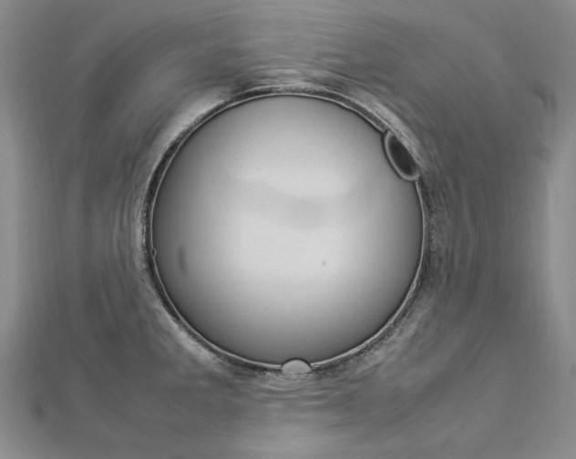X0000113031285200908271047