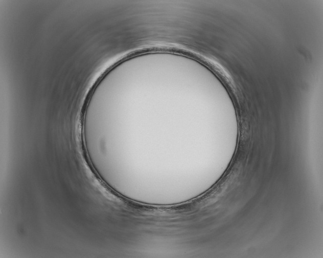 X0000113031287200908271047