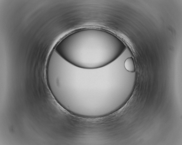 X0000113031288200908271047