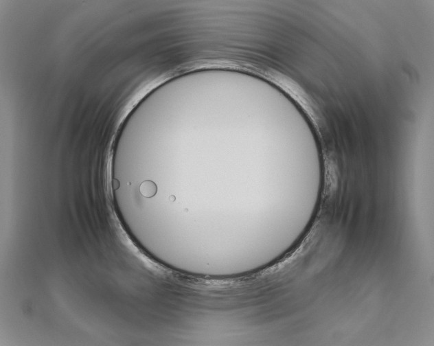 X0000113031290200908271047