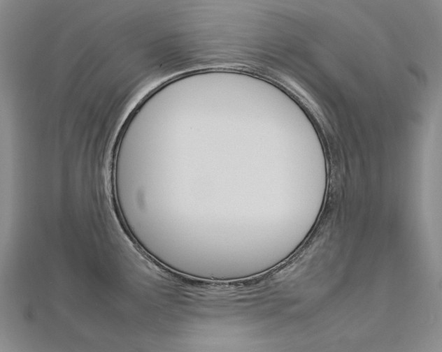 X0000113031291200908271047
