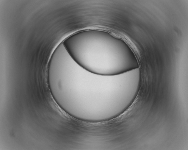X0000113031292200908271047