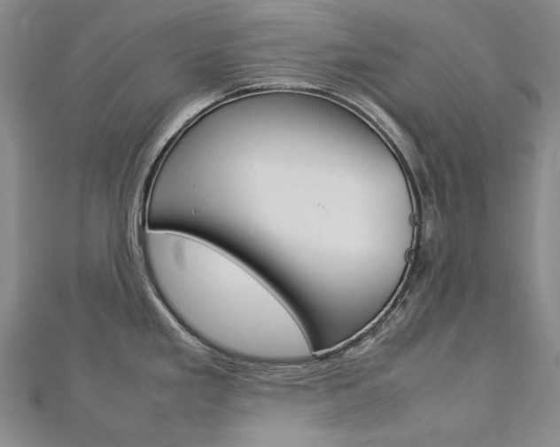 X0000113031293200908271047