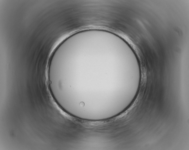 X0000113031294200908271047