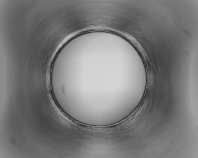X0000113031295200908271047