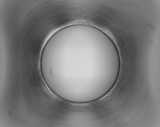 X0000113031296200908271047