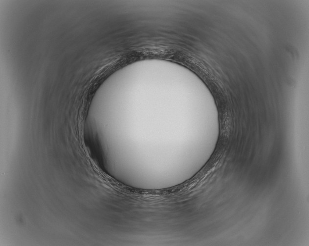 X0000113031297200908271046