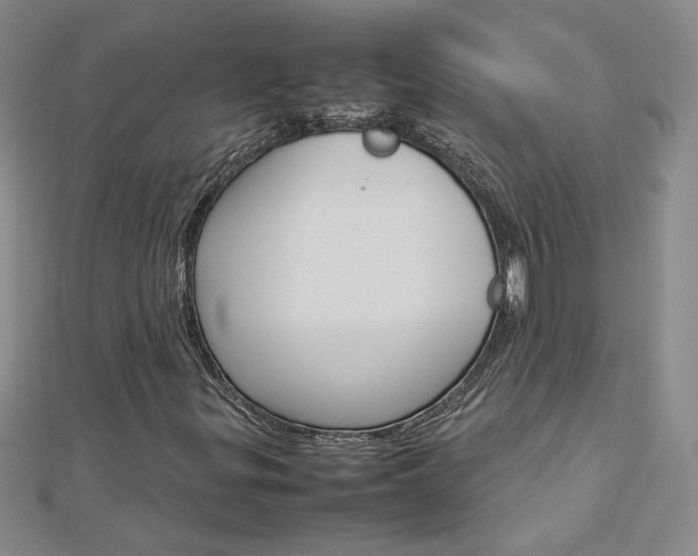 X0000113031299200908271046