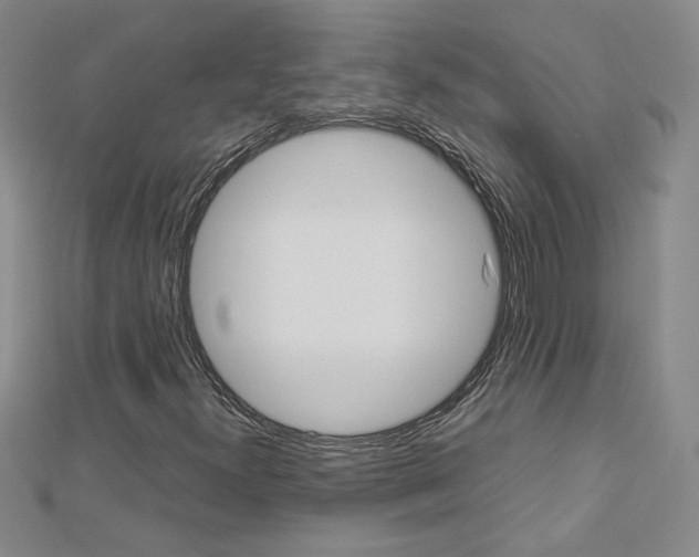 X0000113031300200908271046