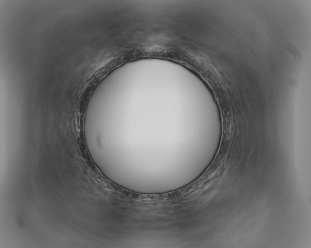 X0000113031301200908271046
