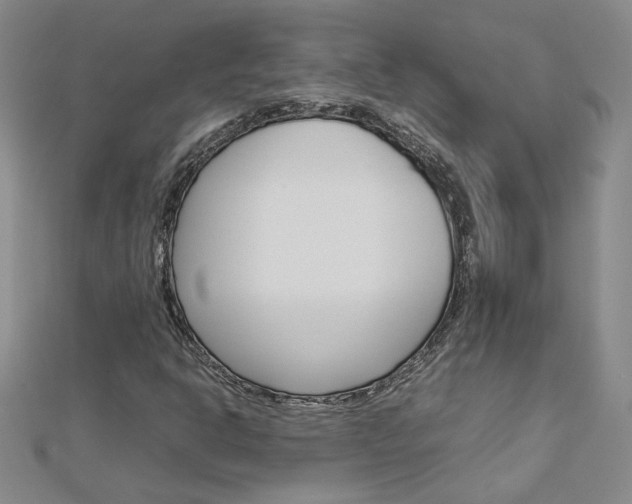 X0000113031302200908271046