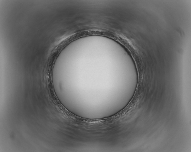 X0000113031303200908271046