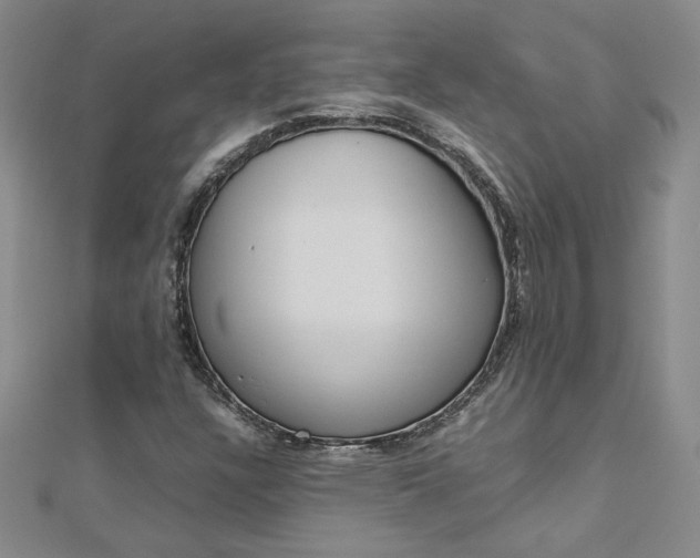 X0000113031304200908271046