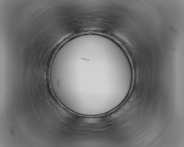 X0000113031305200908271046