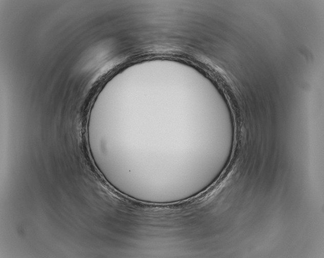 X0000113031306200908271046
