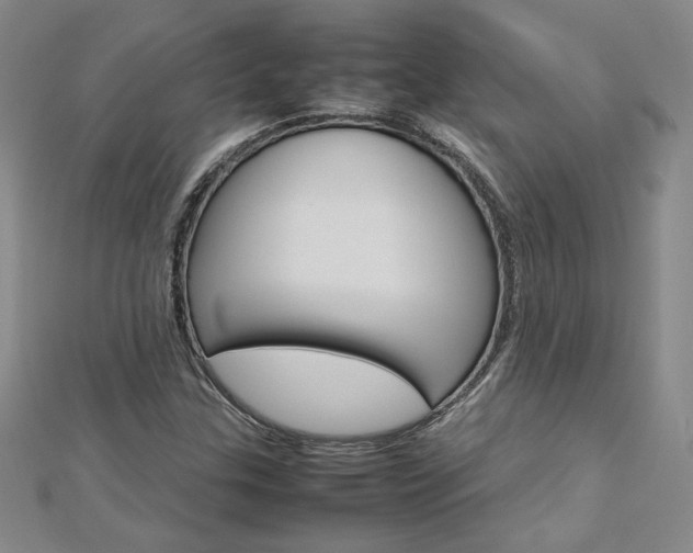 X0000113031307200908271046