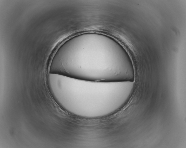 X0000113031308200908271046