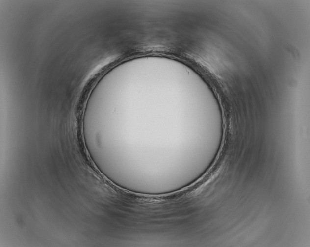 X0000113031309200908271046