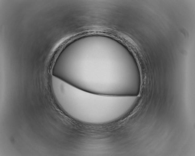 X0000113031310200908271046