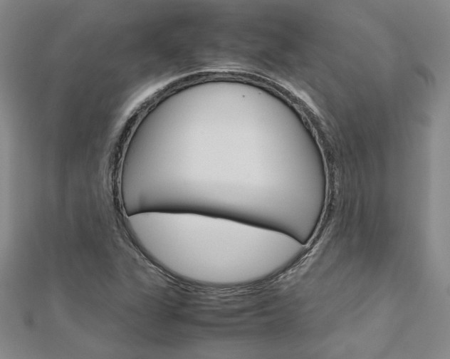 X0000113031311200908271046