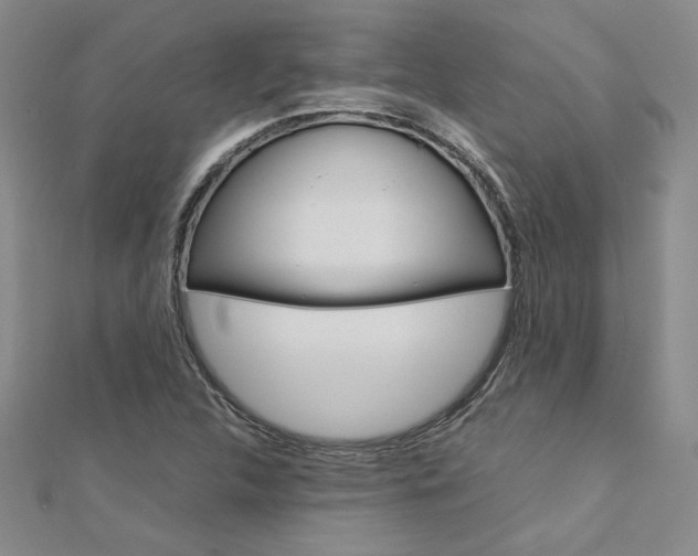 X0000113031312200908271046