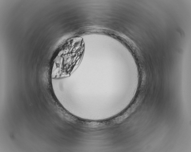 X0000113031314200908271046