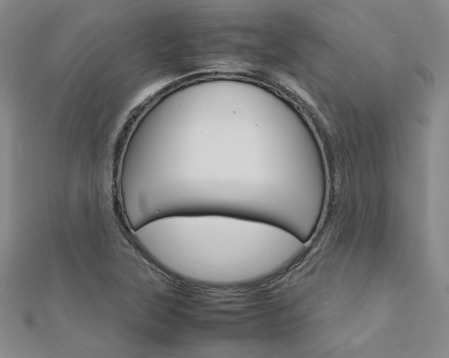 X0000113031315200908271046