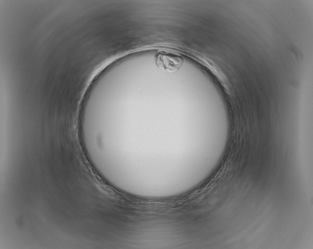 X0000113031316200908271046