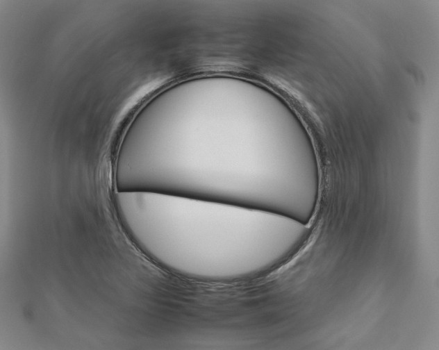 X0000113031317200908271046
