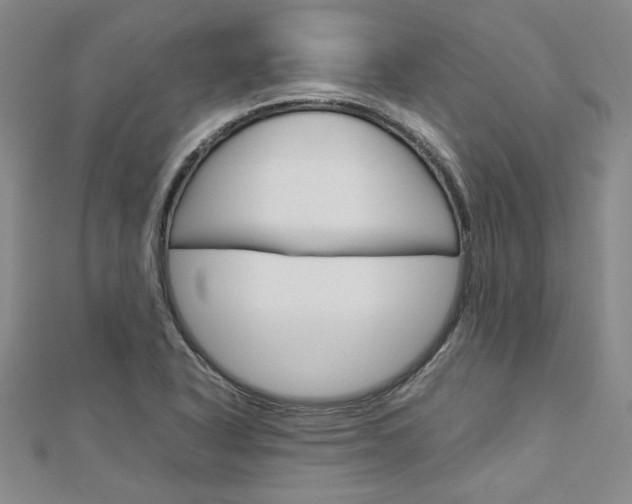 X0000113031318200908271046