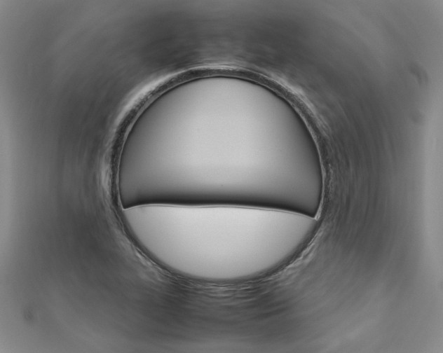 X0000113031319200908271046