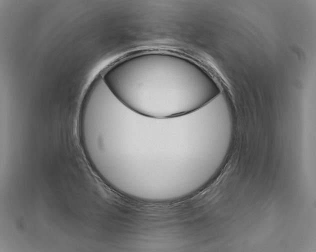 X0000113031320200908271046