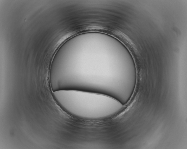 X0000113031321200908271046