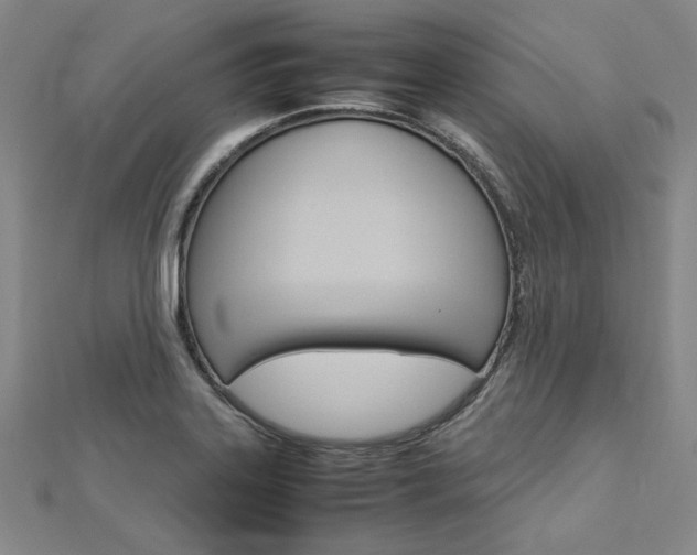 X0000113031323200908271046