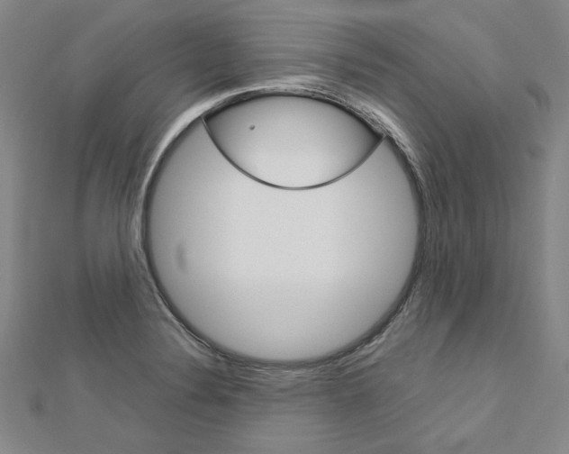 X0000113031324200908271046