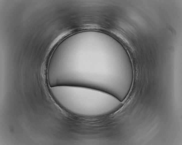 X0000113031325200908271046