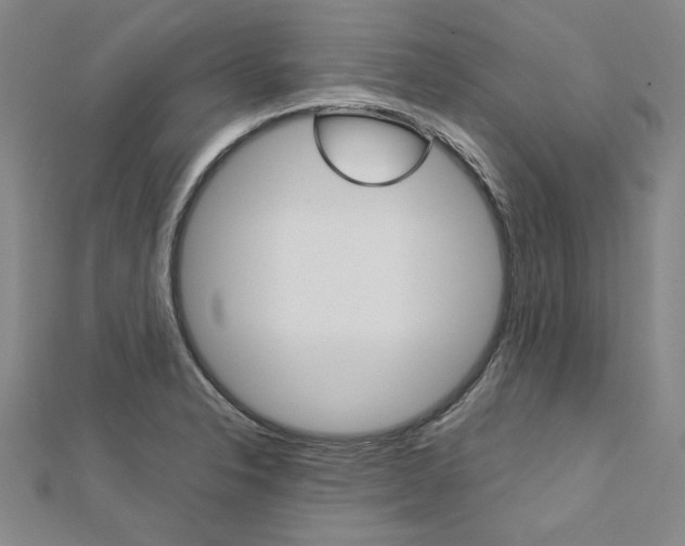 X0000113031326200908271046