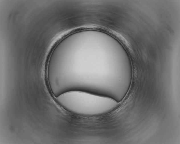X0000113031327200908271046