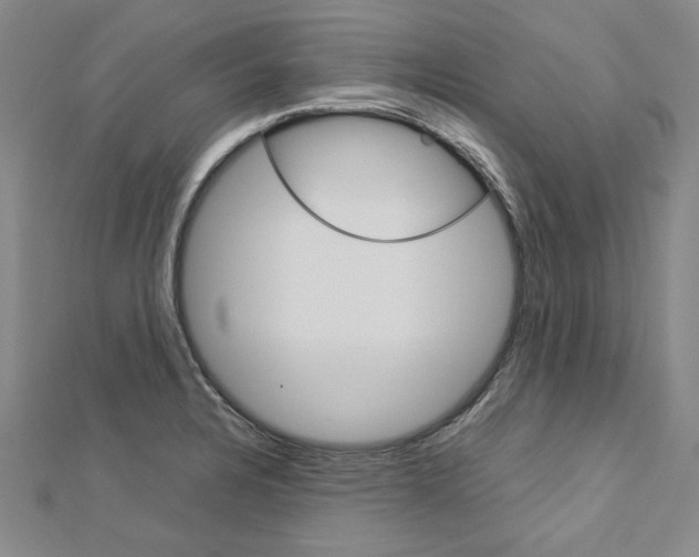 X0000113031328200908271046