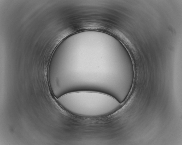 X0000113031329200908271046