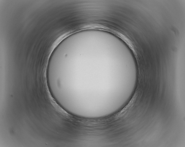 X0000113031330200908271047
