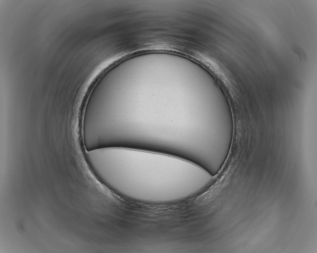 X0000113031331200908271047