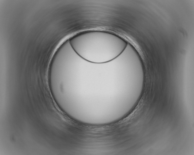 X0000113031332200908271047