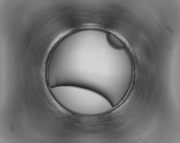 X0000113031333200908271047