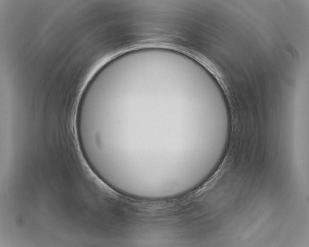 X0000113031334200908271047